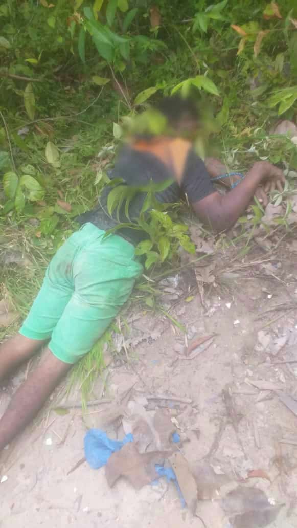 aviary-image-1642885020348 aviary-image-1642885020348