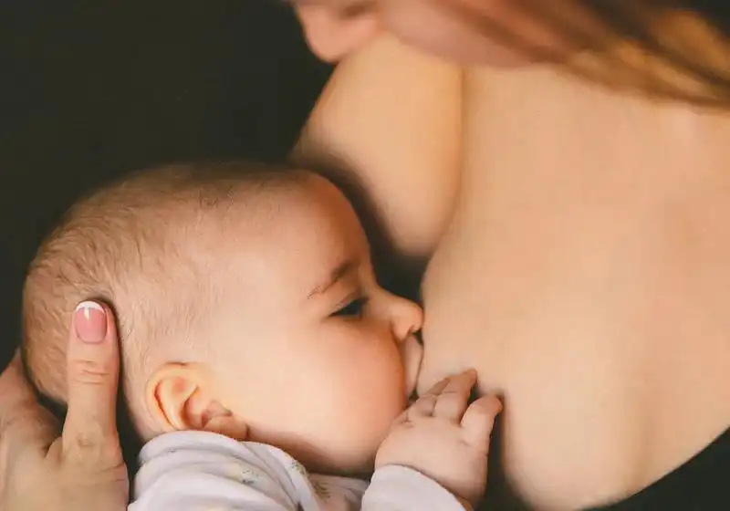 leitematerno_celulas leitematerno_celulas