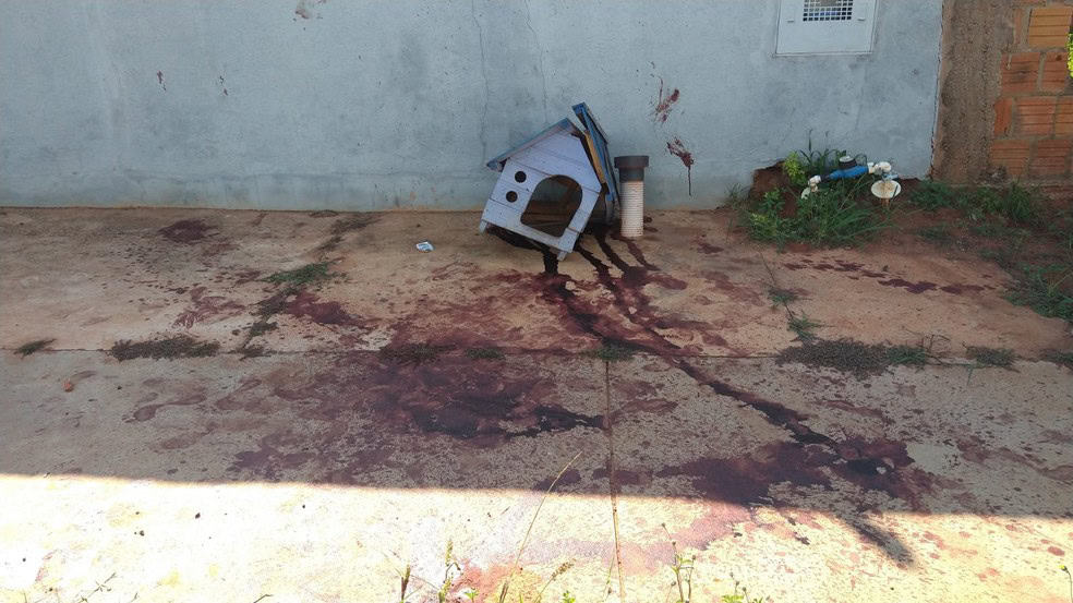 whatsapp-image-2022-01-02-at-08.33.15