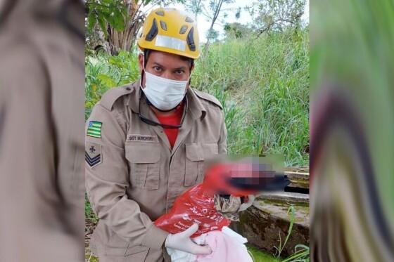 01f093602cba04be9c0a23adb7ebf756 01f093602cba04be9c0a23adb7ebf756