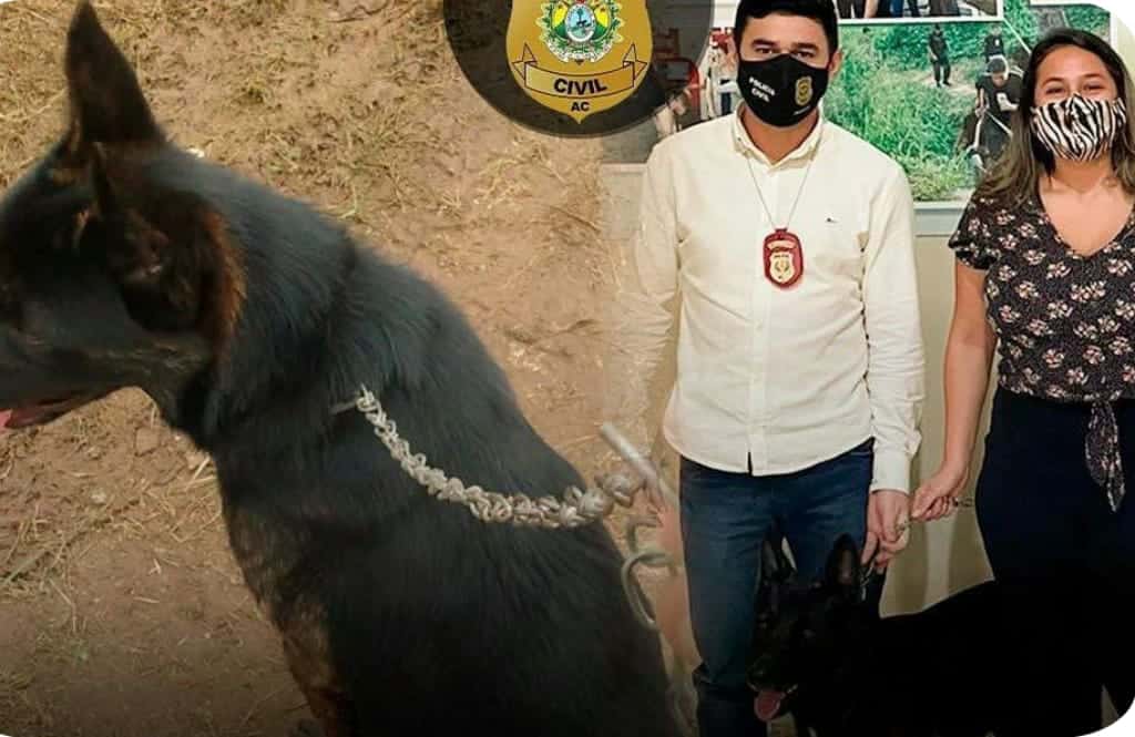 IMG-20220210-WA0083 IMG-20220210-WA0083