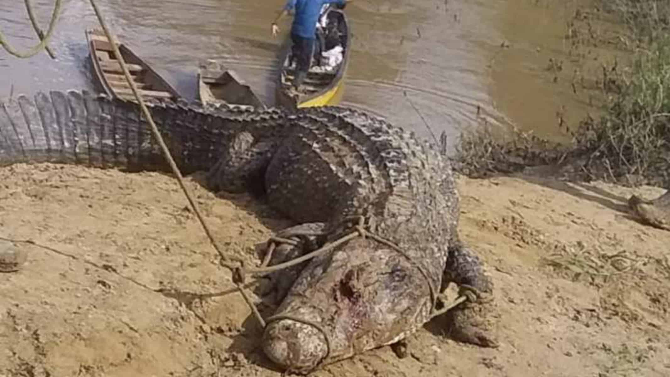 Picsart_22-02-13_11-19-56-348