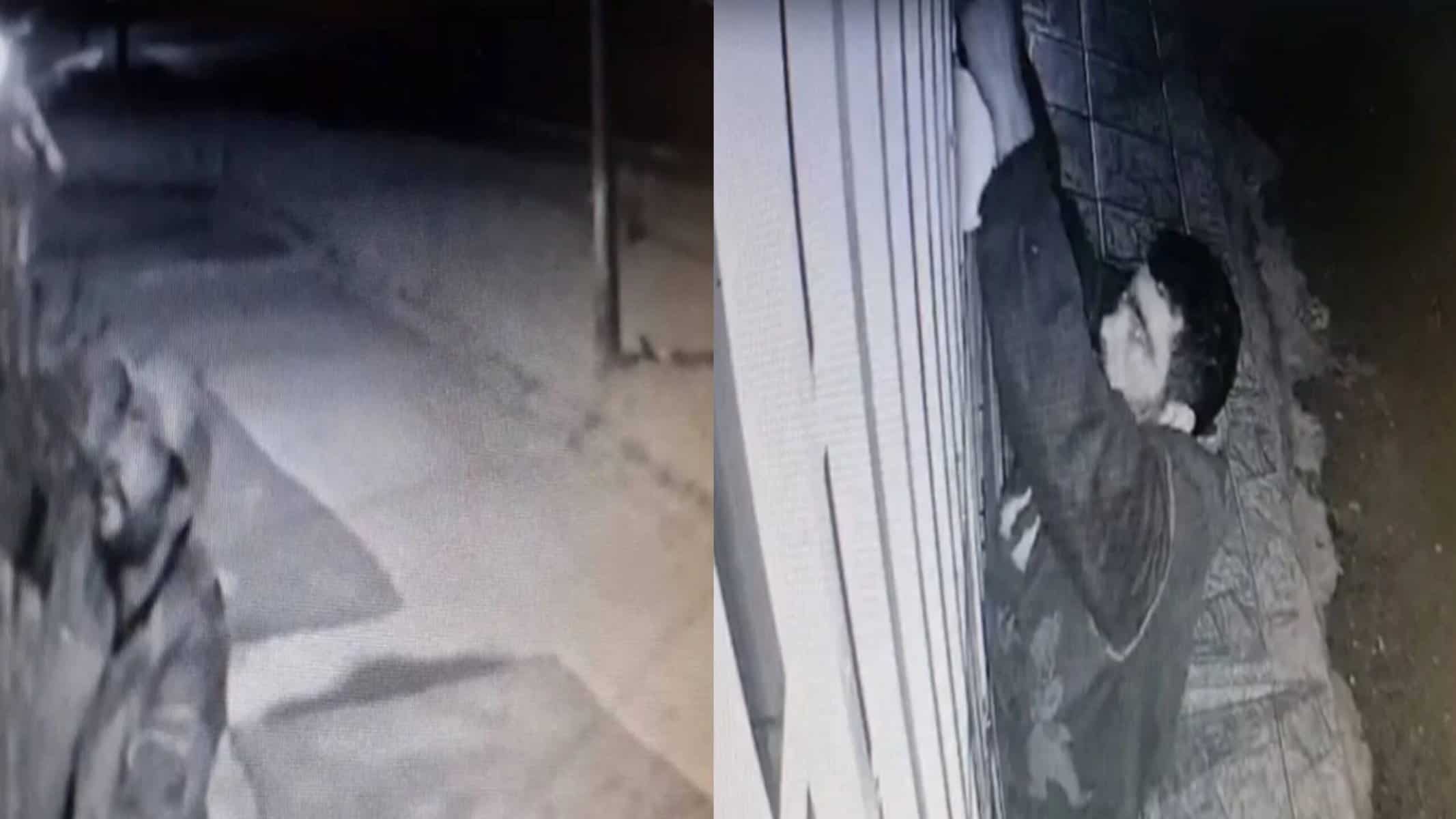 Picsart_22-02-15_15-33-07-503 Picsart_22-02-15_15-33-07-503