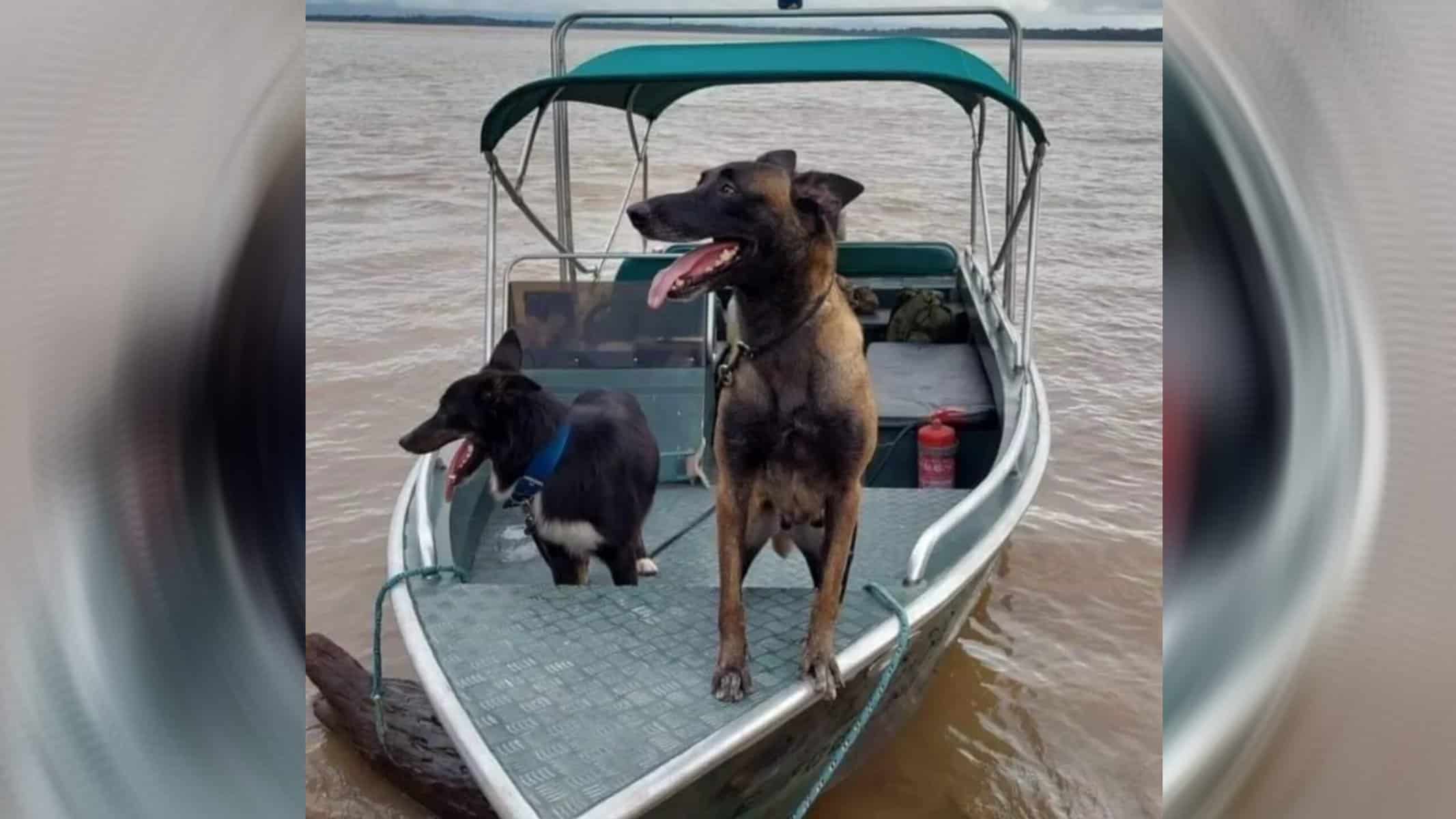 Picsart_22-02-17_14-46-51-945 Picsart_22-02-17_14-46-51-945