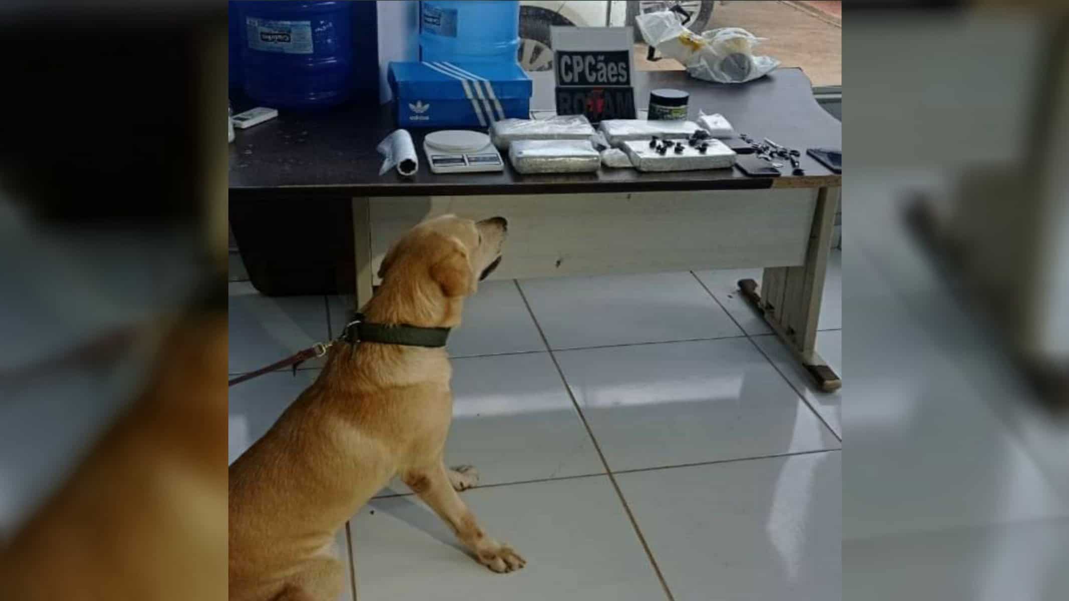 Picsart_22-02-23_14-23-51-467 Picsart_22-02-23_14-23-51-467