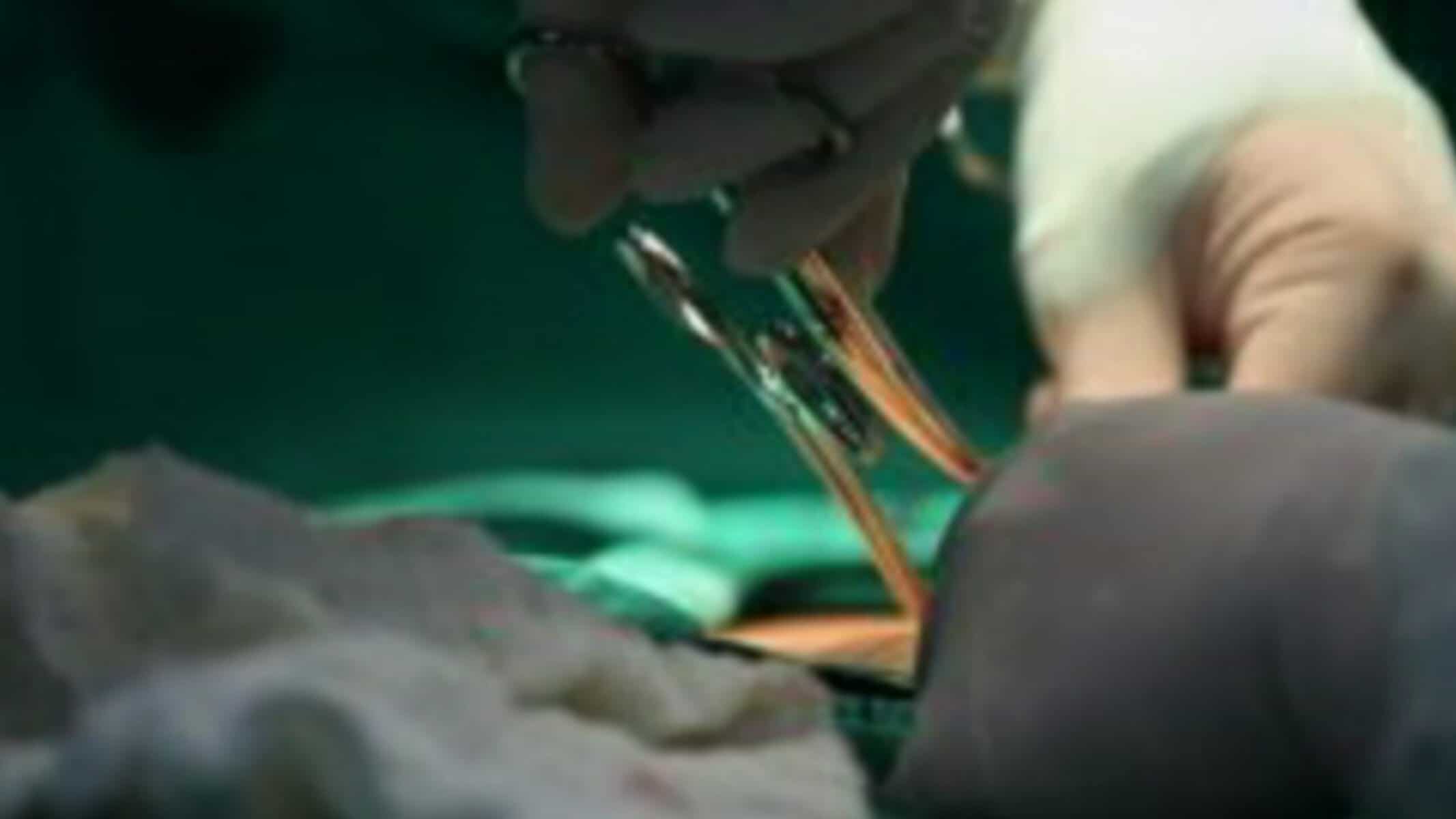 Picsart_22-02-24_15-49-52-075 Picsart_22-02-24_15-49-52-075