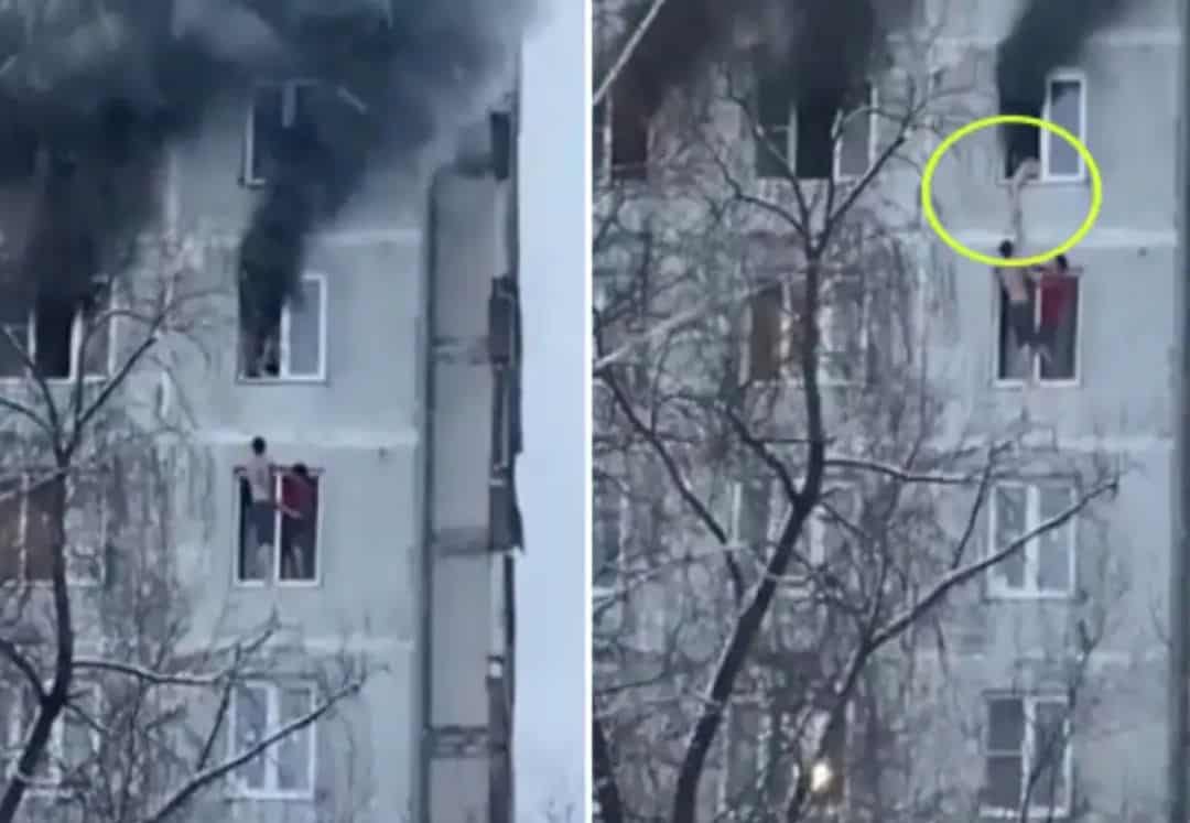 Screenshot_20220201-122452_Gallery_1u