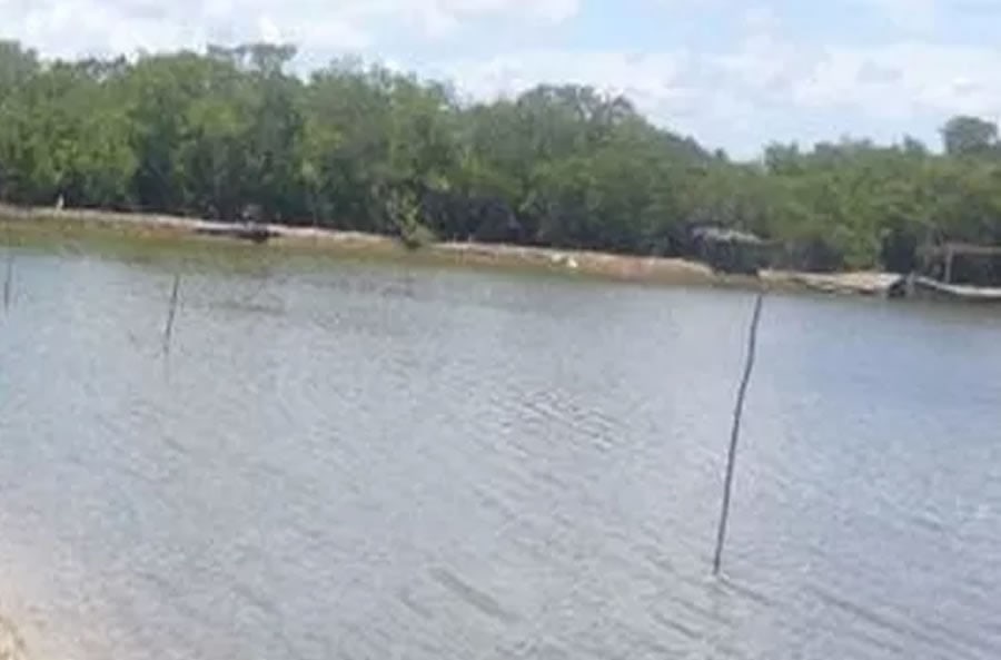 Untitled-1.jpgetwt.jpgswfw.jpgsge.jpgge Foto: Reprodução