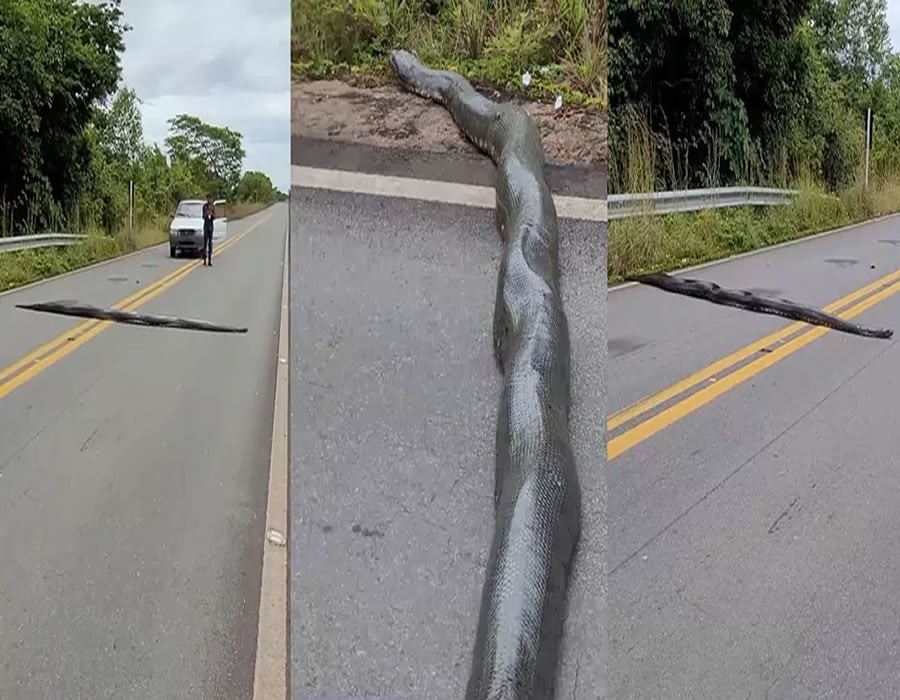 Untitled-1.jpgr.jpgret.jpghtrt.jpgr Foto: Tailan Vieira Barros/Arquivo pessoal