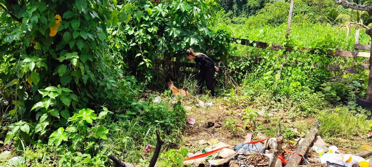 Material foi apreendido com ajuda da cadela Helô farejador, em beco no Segundo Distrito de Rio Branco. (Foto: CPCães)