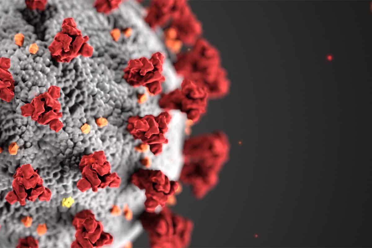 capa_38983_covid19stategov