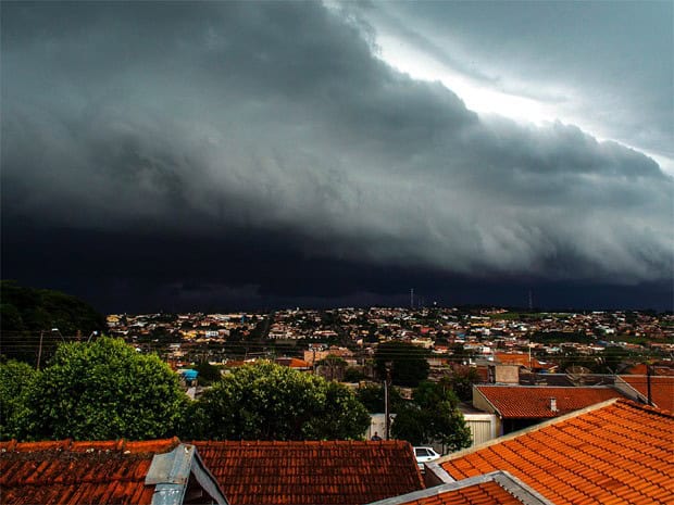 images_set-2014_temporal-acre images_set-2014_temporal-acre