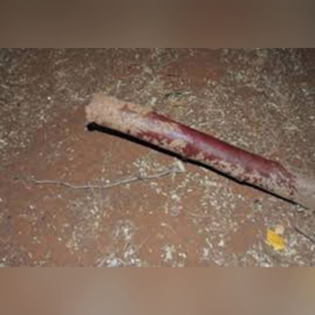 PhotoGrid_Site_1646711870754 PhotoGrid_Site_1646711870754