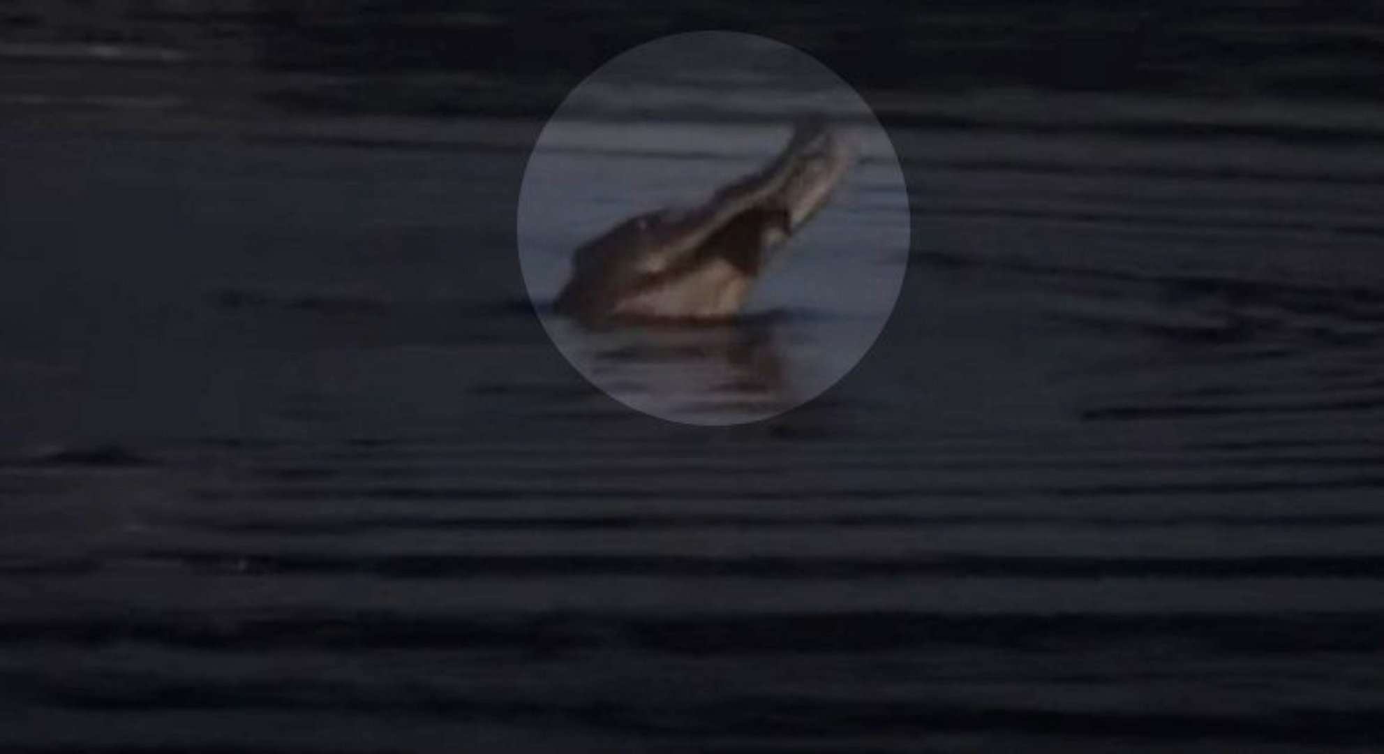 PhotoGrid_Site_1647912935938