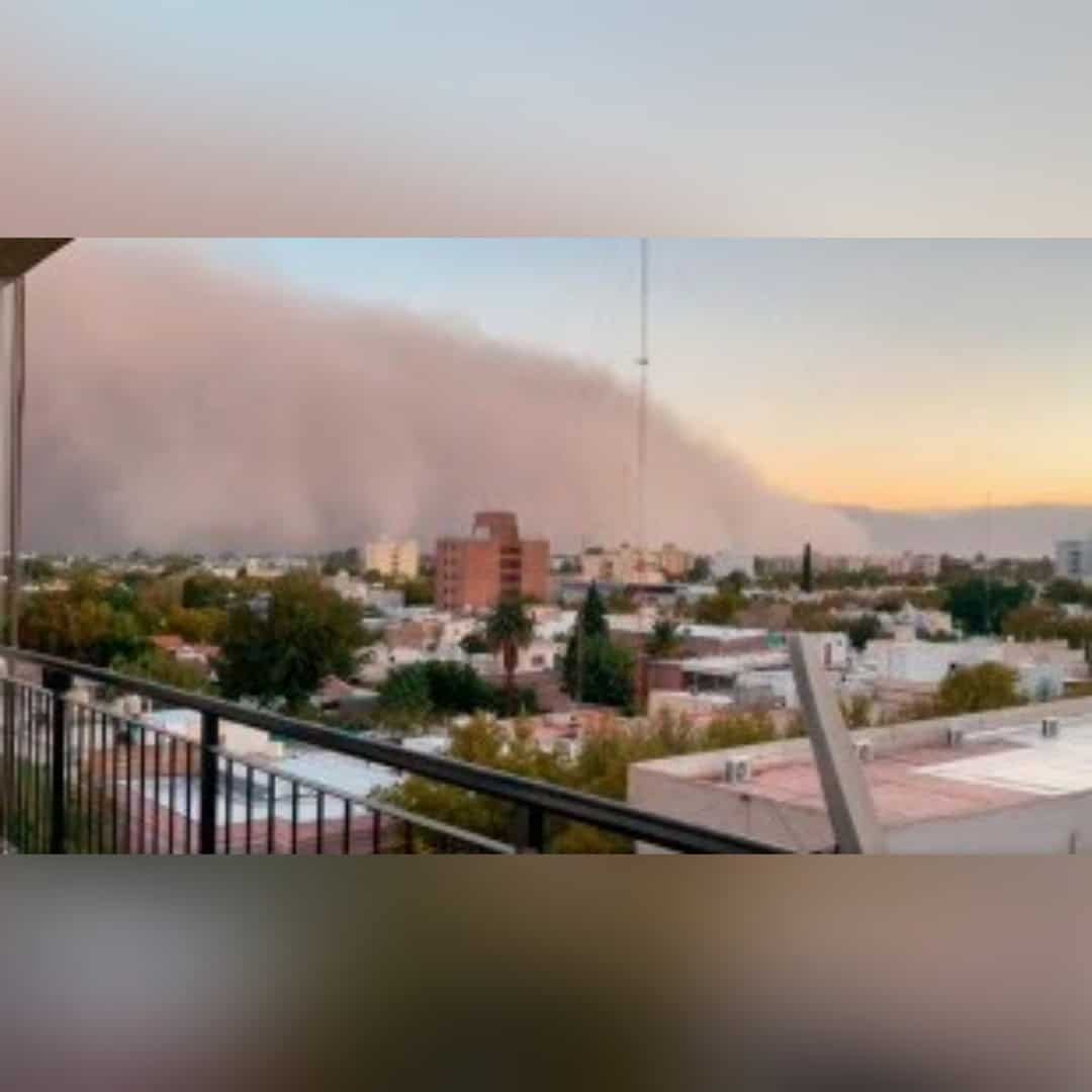 PhotoGrid_Site_1648175159073 PhotoGrid_Site_1648175159073