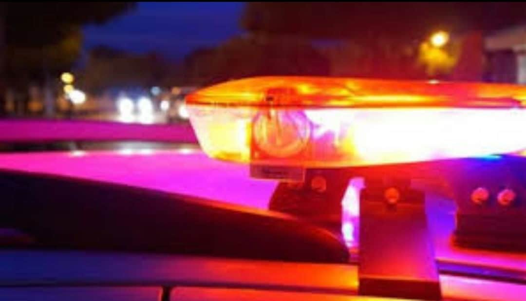 Screenshot_20220321-201541_Gallery_1