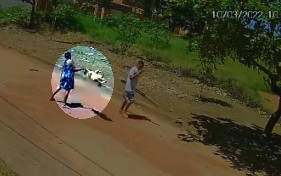 cachorro-agressao2(1) cachorro-agressao2(1)