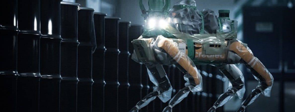 caoRoboDestaque-1187x450