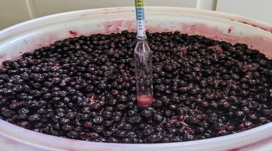 Novo-Projeto8 Novo-Projeto8