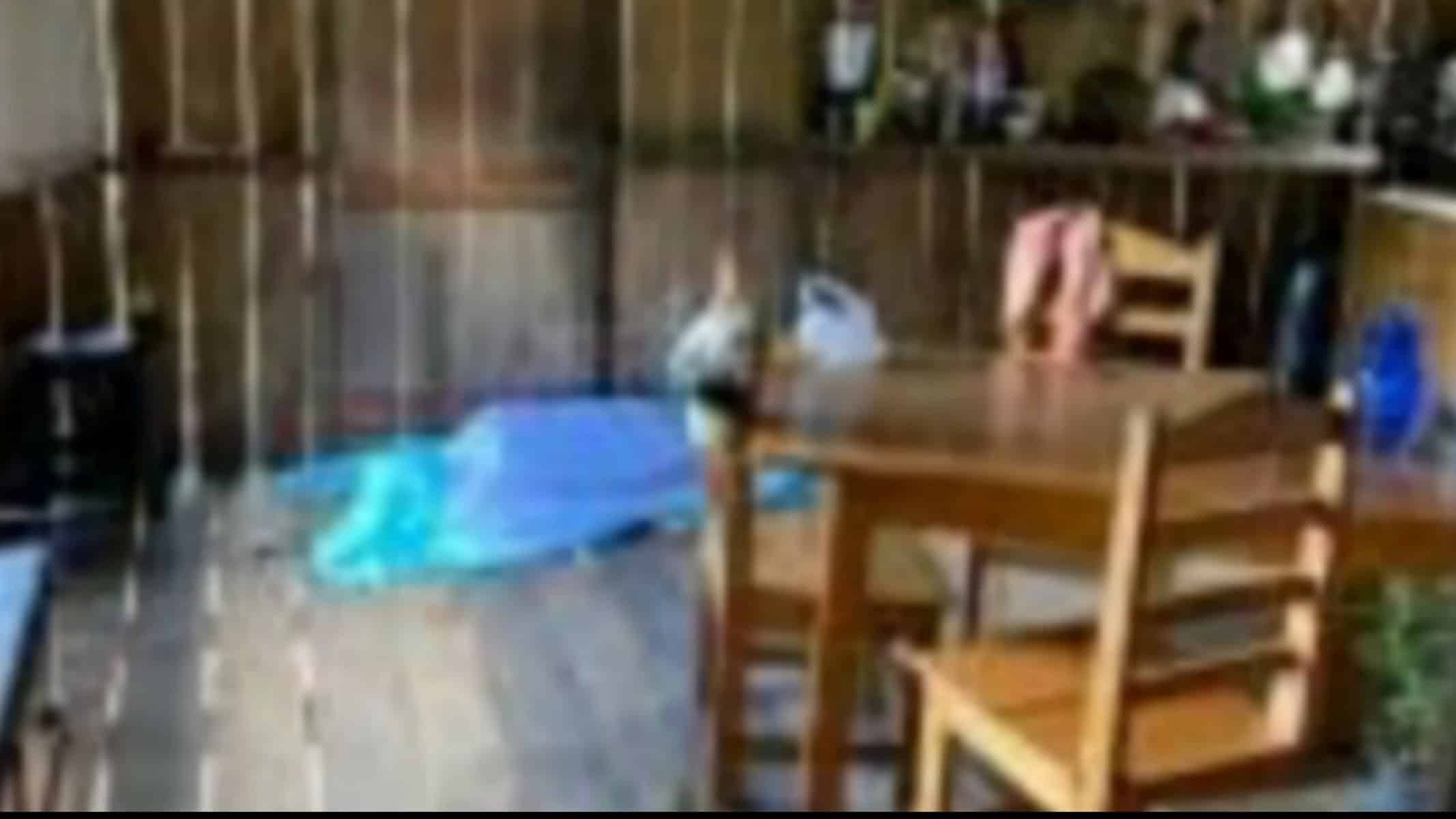 Picsart_22-04-03_16-01-57-581 Picsart_22-04-03_16-01-57-581