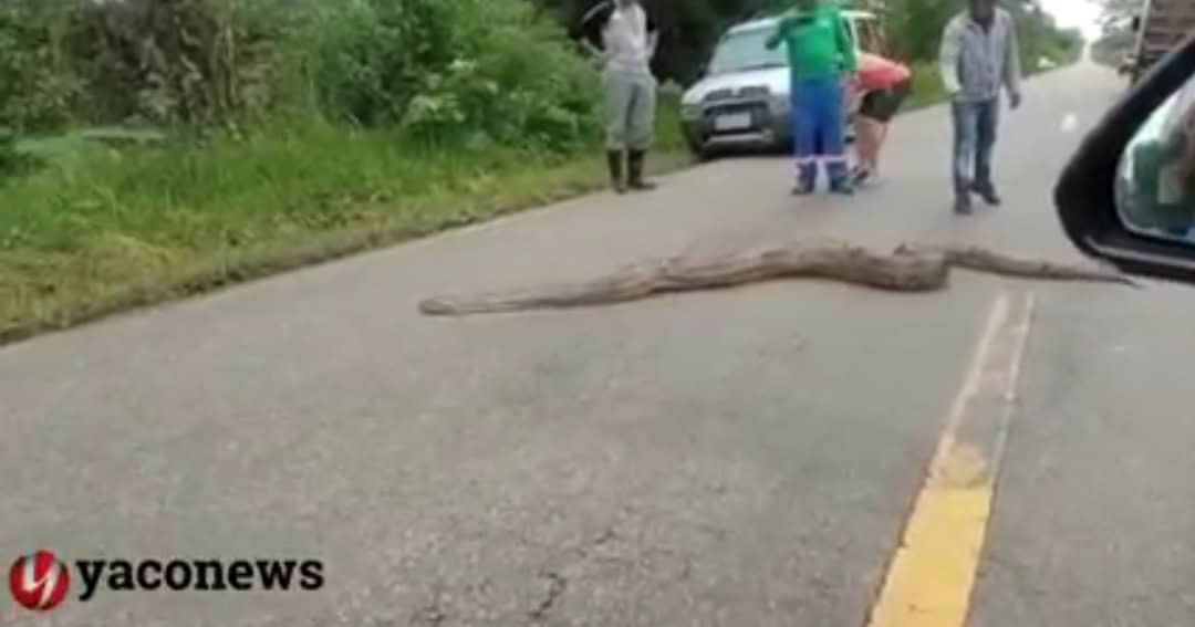 Picsart_22-04-07_21-46-12-260 Picsart_22-04-07_21-46-12-260