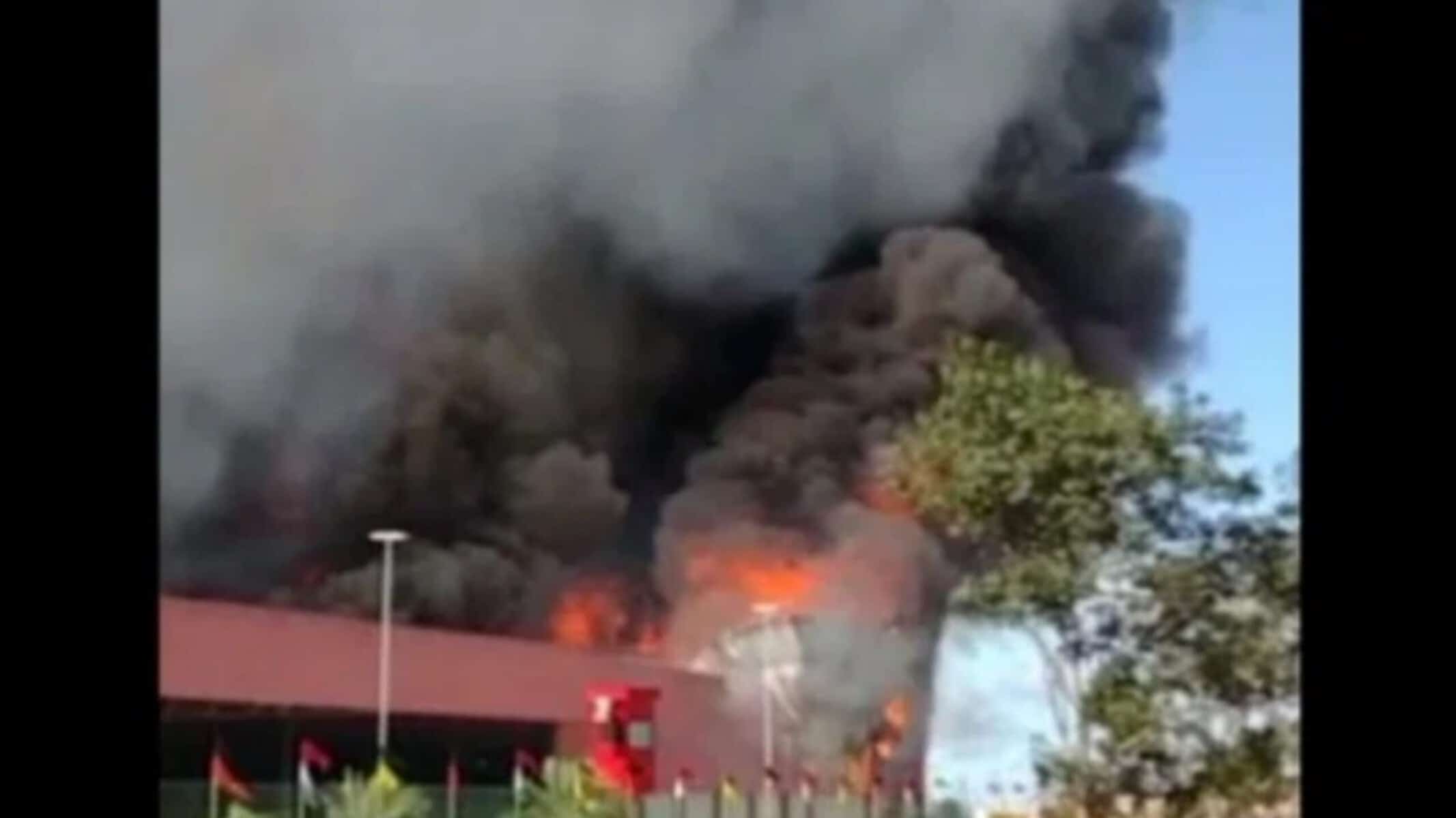 Picsart_22-04-08_13-22-41-175