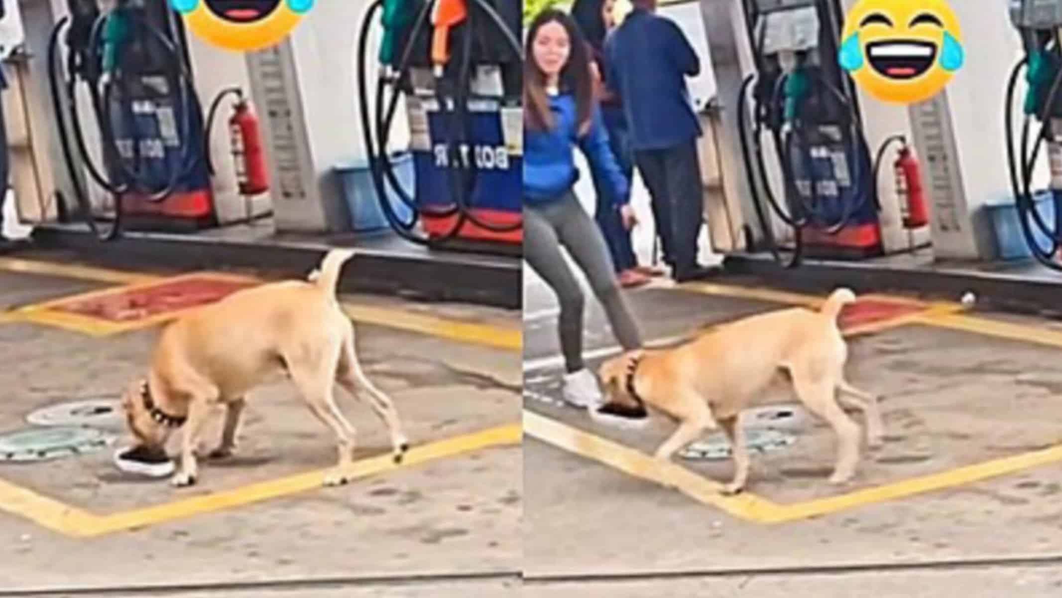 Picsart_22-04-08_15-58-27-173