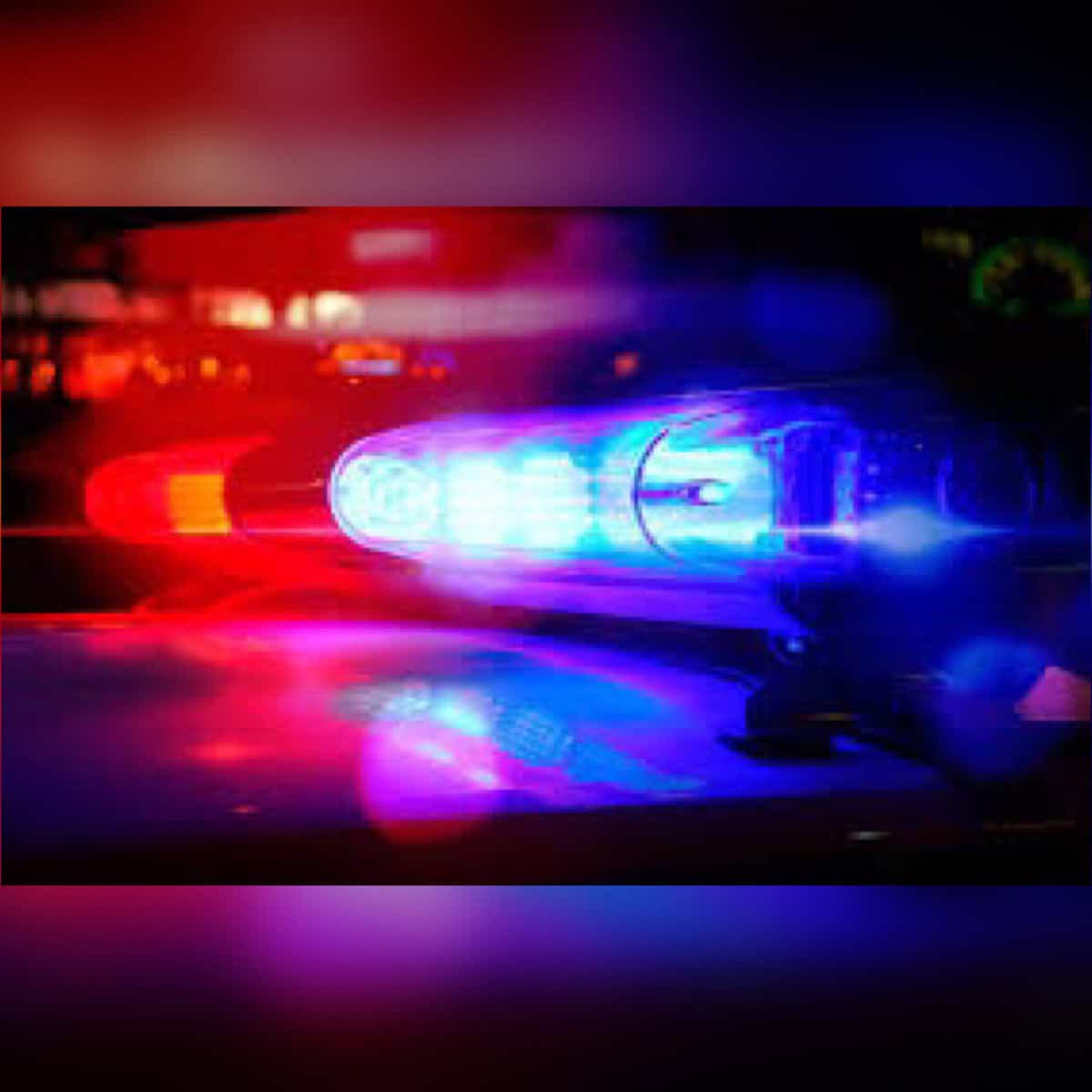 1955376C-AE64-460F-A978-559C48E94DA4