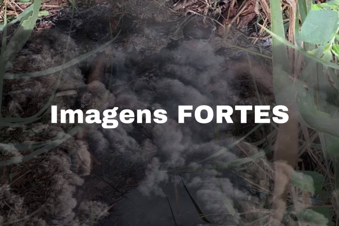 3AD435BB-7F44-4A24-8070-2C89E1662B63