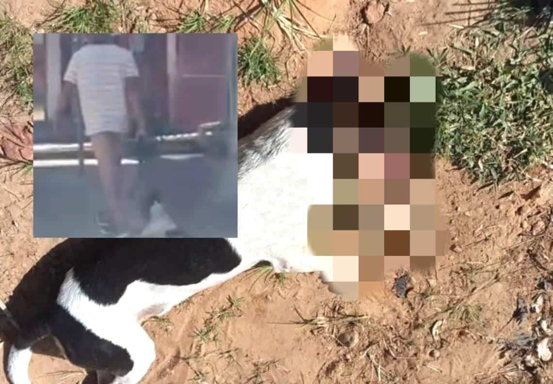 IMG-20220504-WA0109 IMG-20220504-WA0109