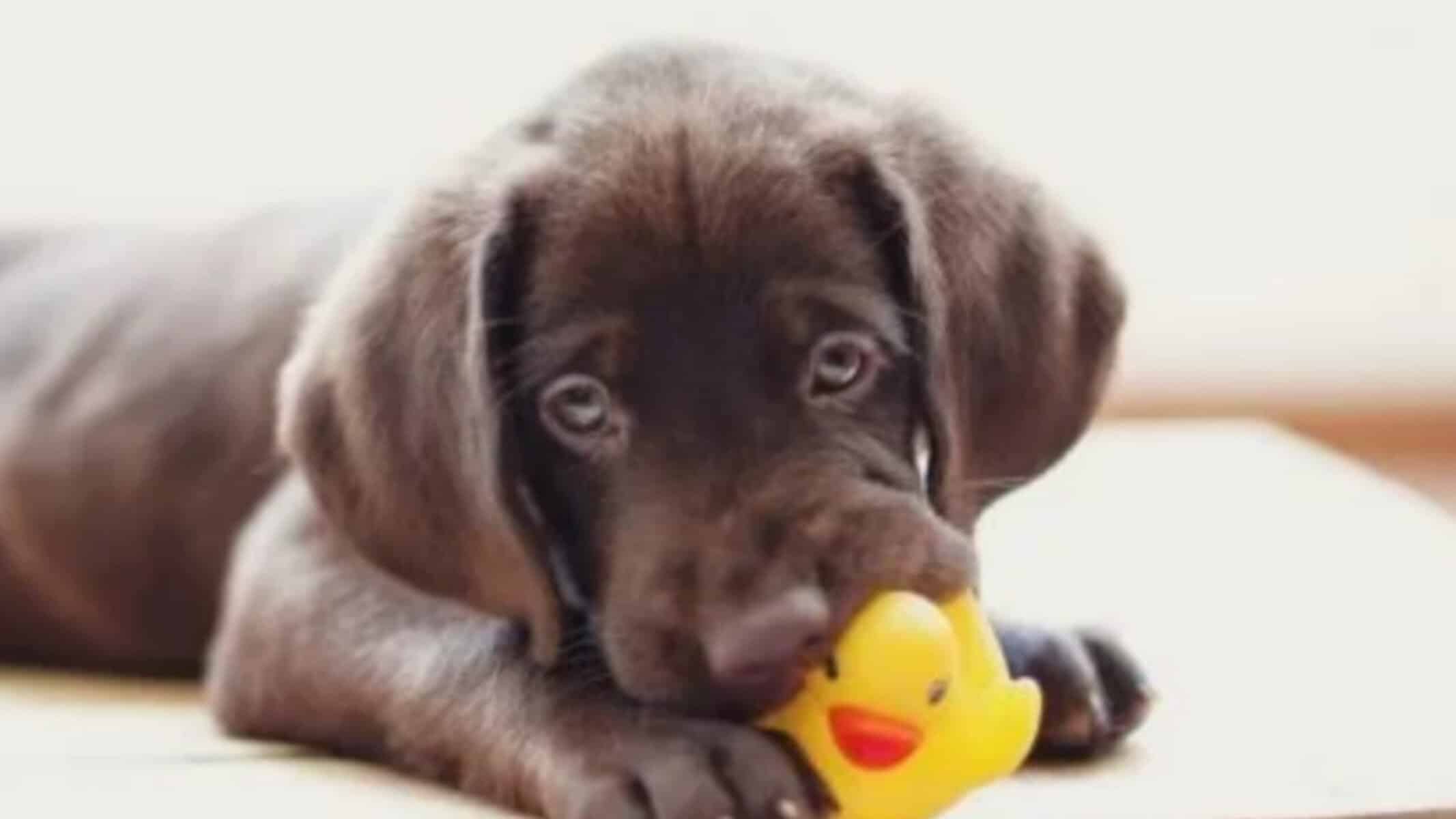 Picsart_22-05-02_21-59-53-610 Picsart_22-05-02_21-59-53-610