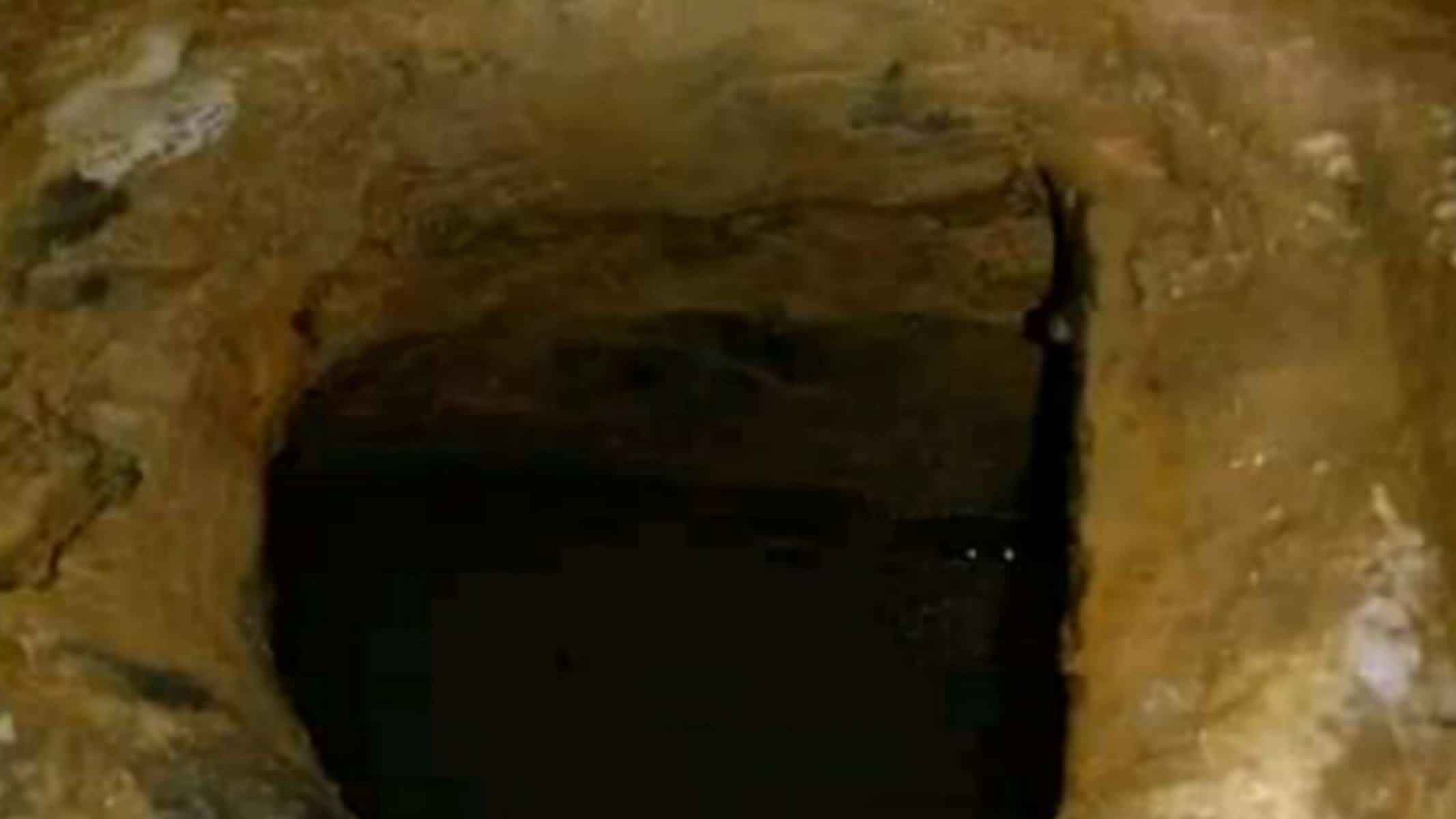 Picsart_22-05-11_13-35-19-538