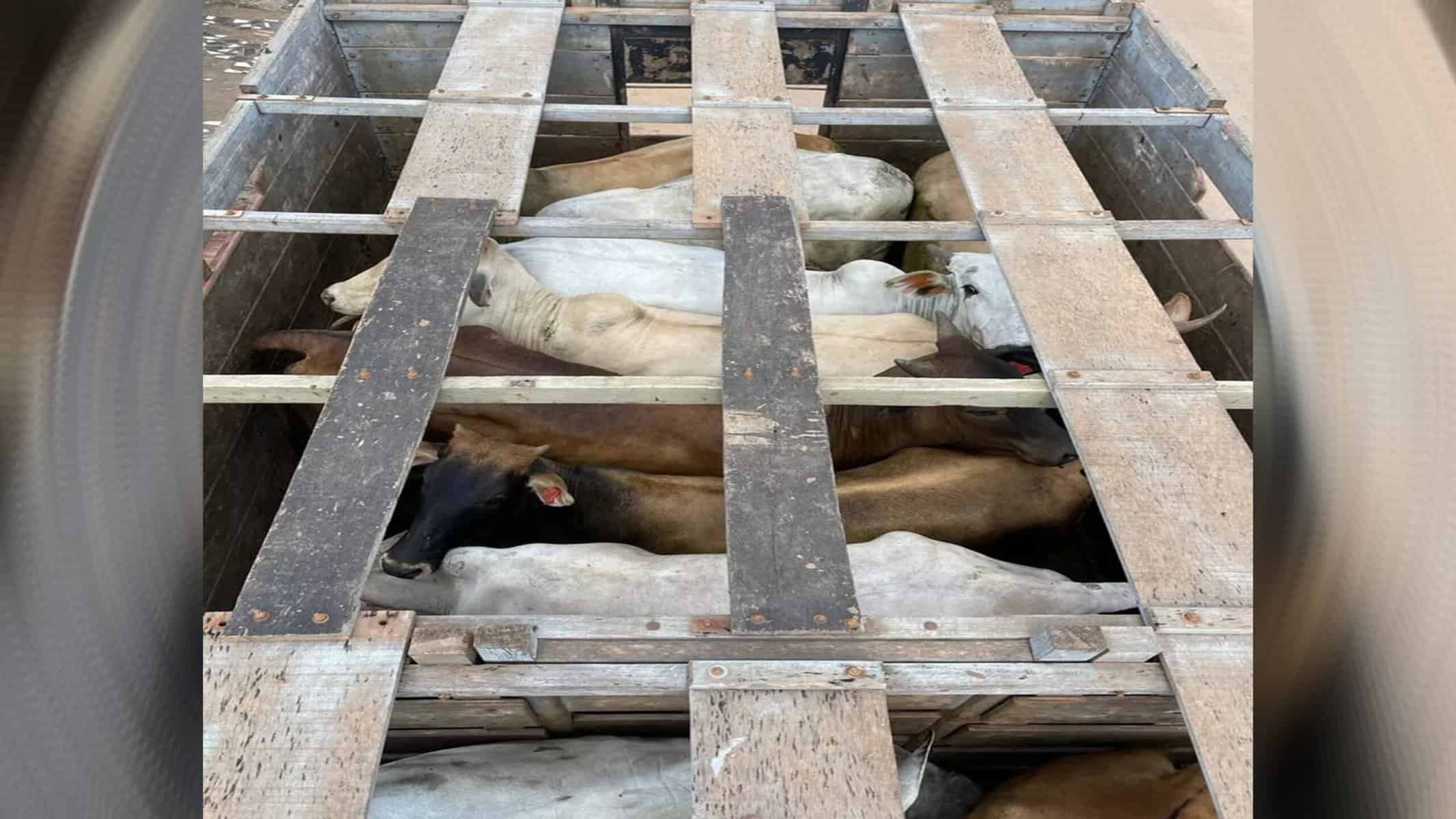 Picsart_22-05-16_16-11-58-150