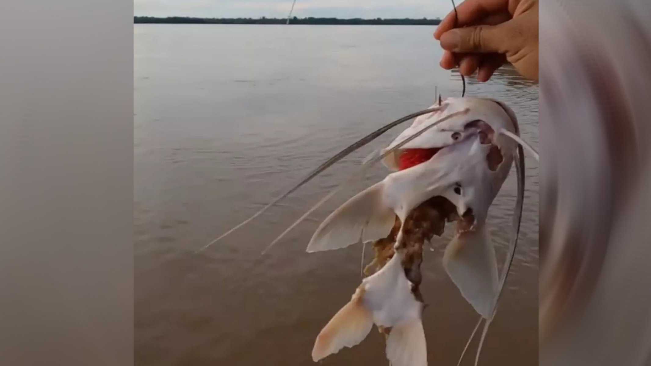 Picsart_22-05-17_19-57-54-228