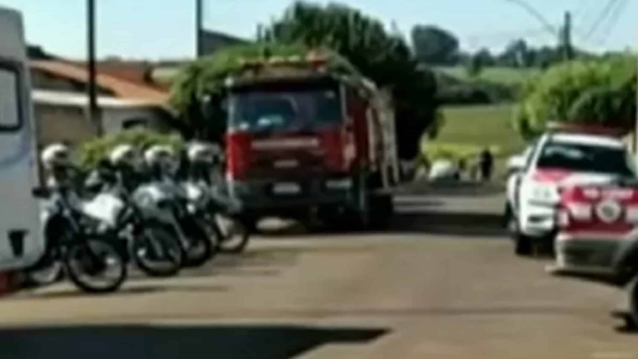 Picsart_22-05-24_18-22-46-236