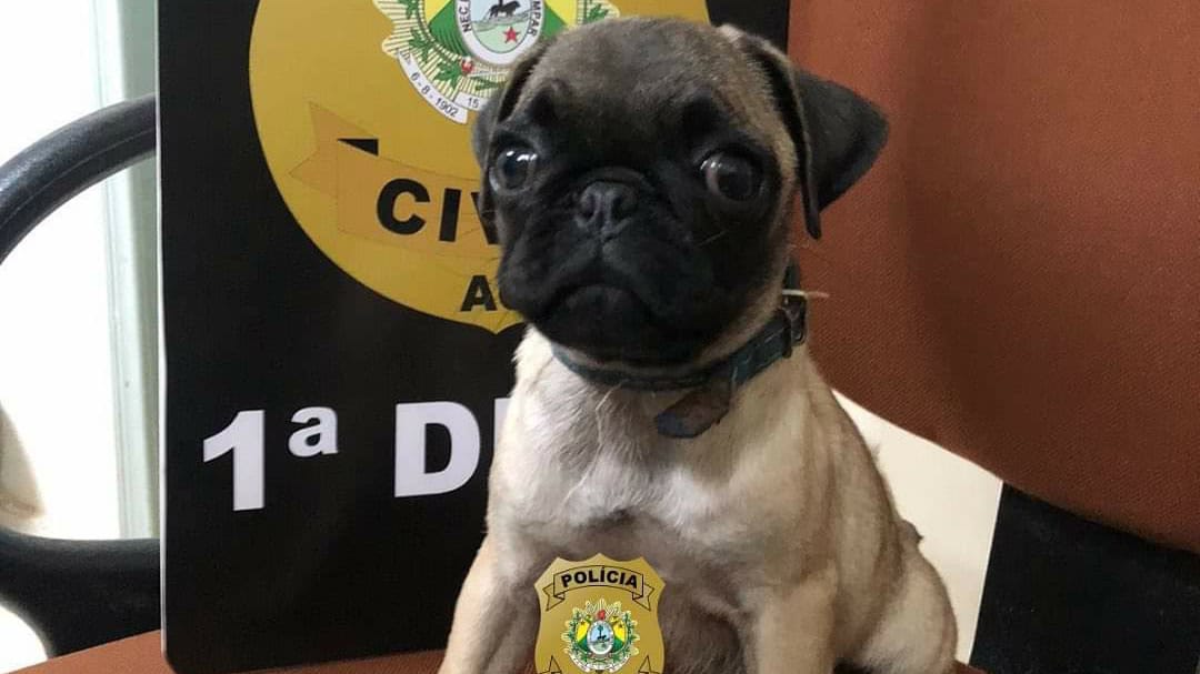 Picsart_22-05-24_20-17-30-728