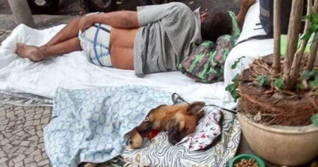 capa-Recuperado-1068x561