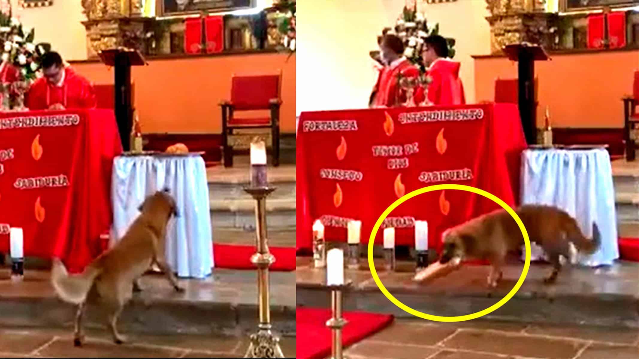 1654799165_62a23b3d3c10d_hd 1654799165_62a23b3d3c10d_hd