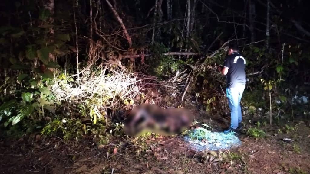 2-1024×576 2-1024x576