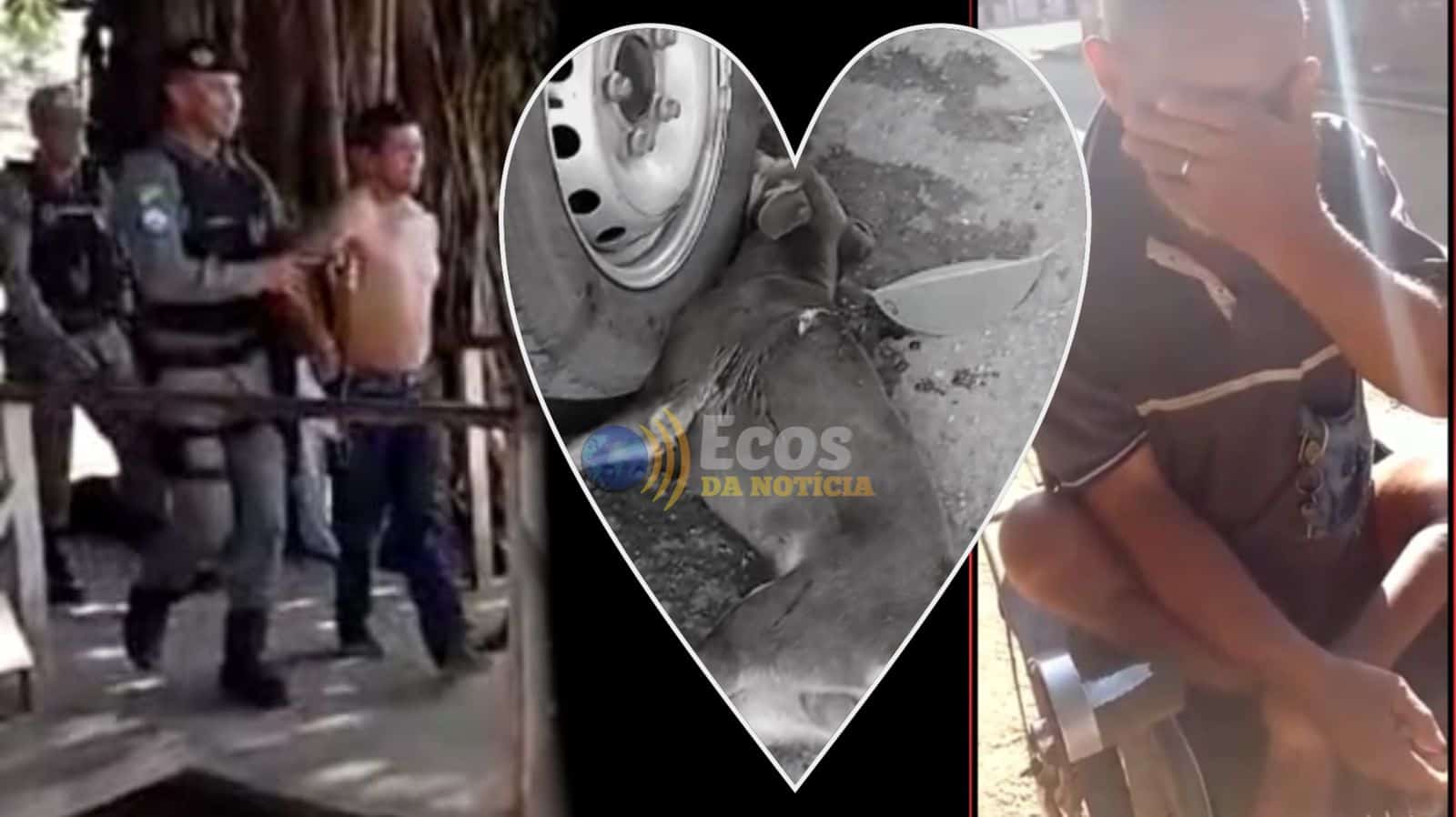 IMG-20220612-WA0026 IMG-20220612-WA0026