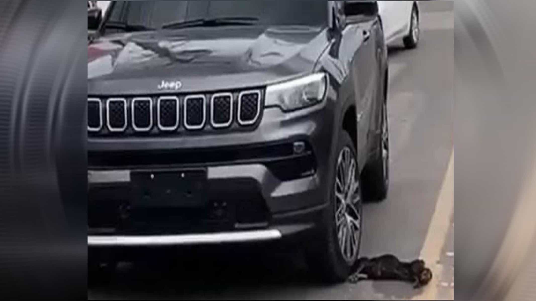 Picsart_22-06-17_19-19-07-625