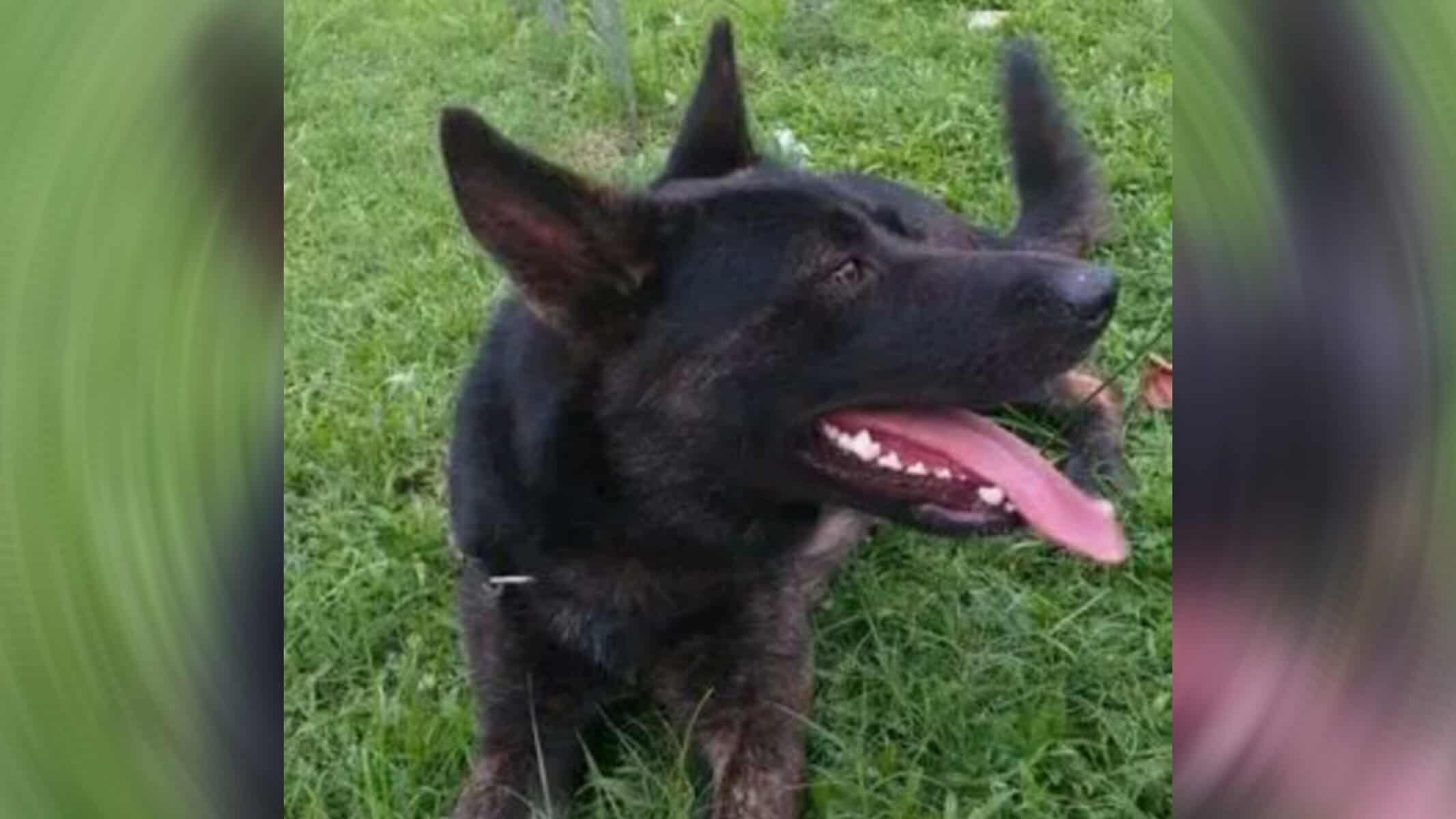 Picsart_22-06-18_14-18-47-232