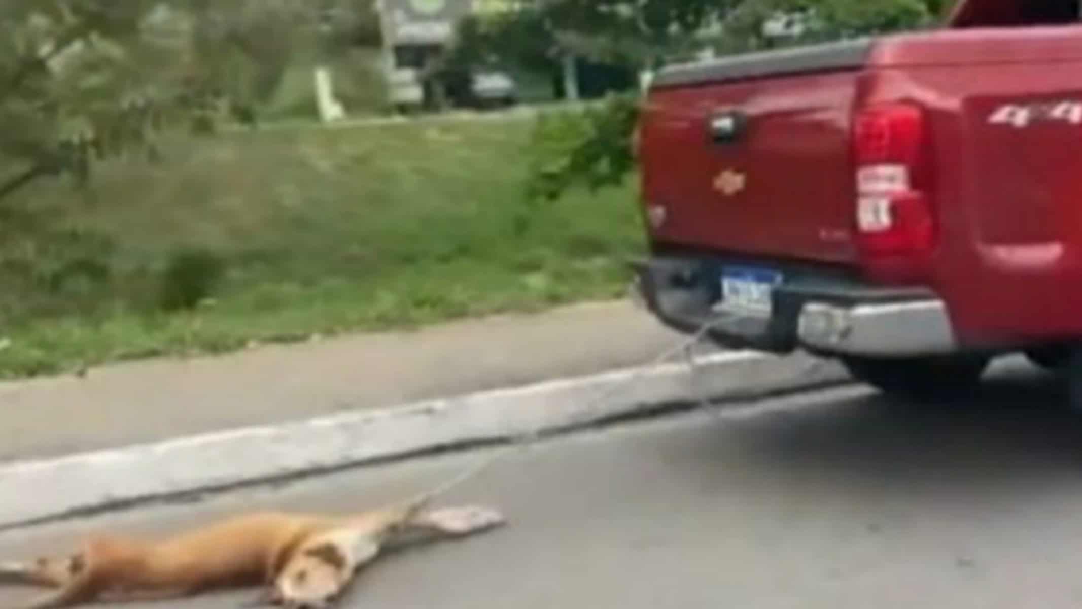 Picsart_22-06-20_22-10-22-687 Picsart_22-06-20_22-10-22-687