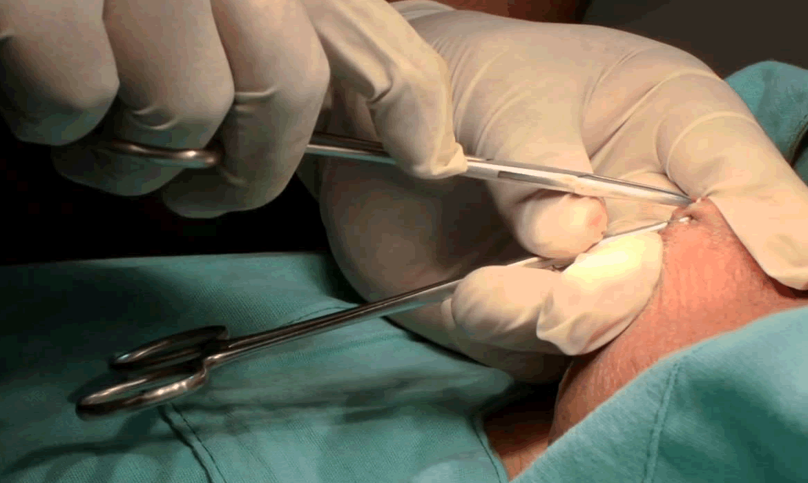 07 Imagem ilustrativa