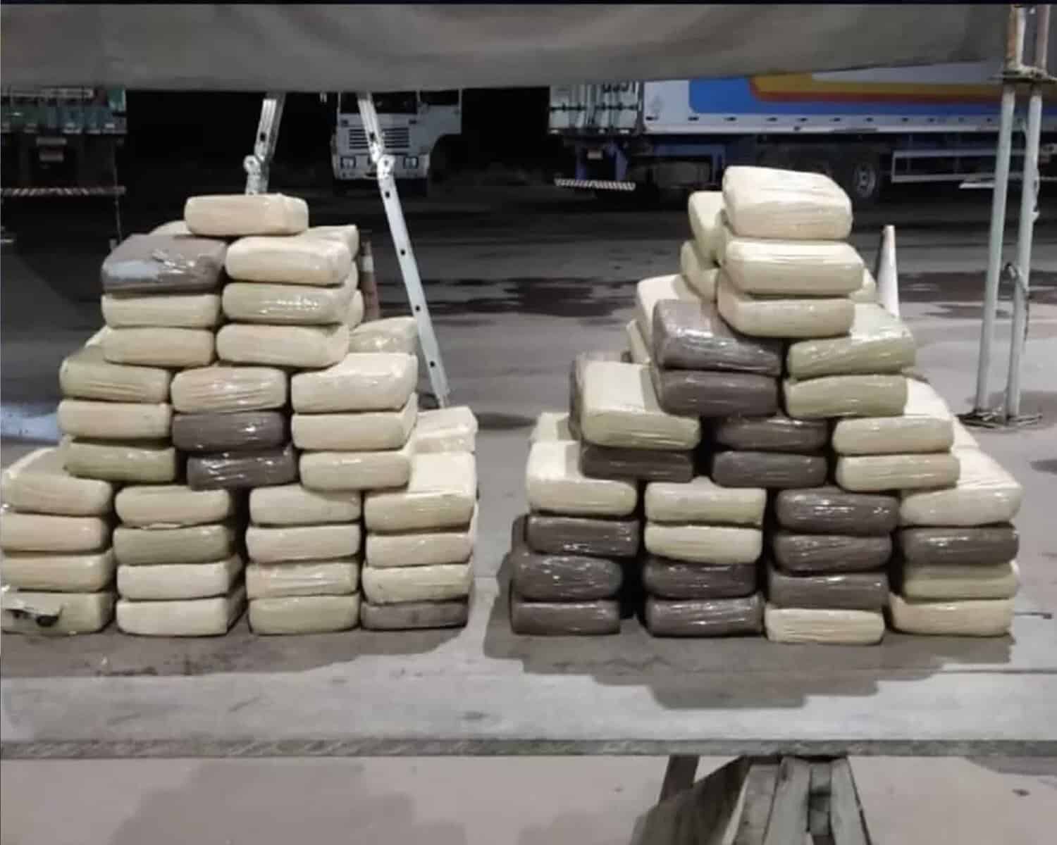 09 Maconha do tipo skunk estava sendo transportada em um caminhão — Foto: Divulgação/PMRR