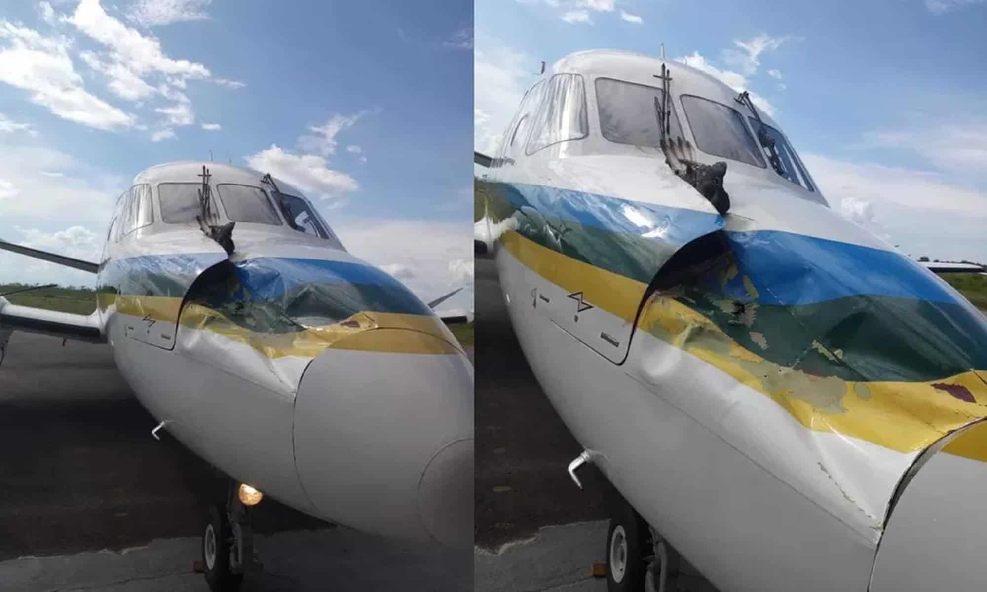 Urubu atingiu avião do governo do Amapá — Foto: reprodução