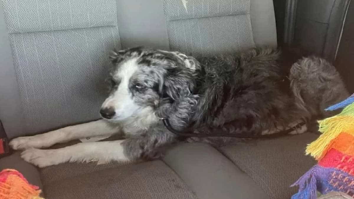 1AC38980-FD64-408D-A8E7-596A81A0F6D0 1AC38980-FD64-408D-A8E7-596A81A0F6D0