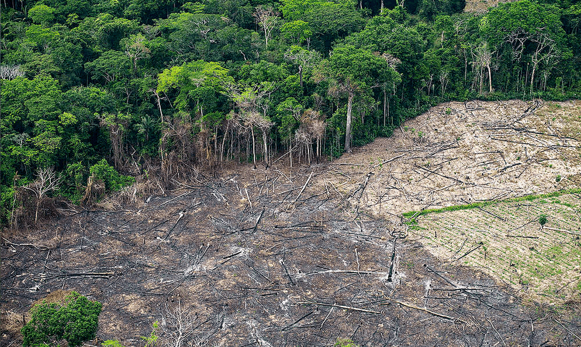 24 Imagem ilustrativa