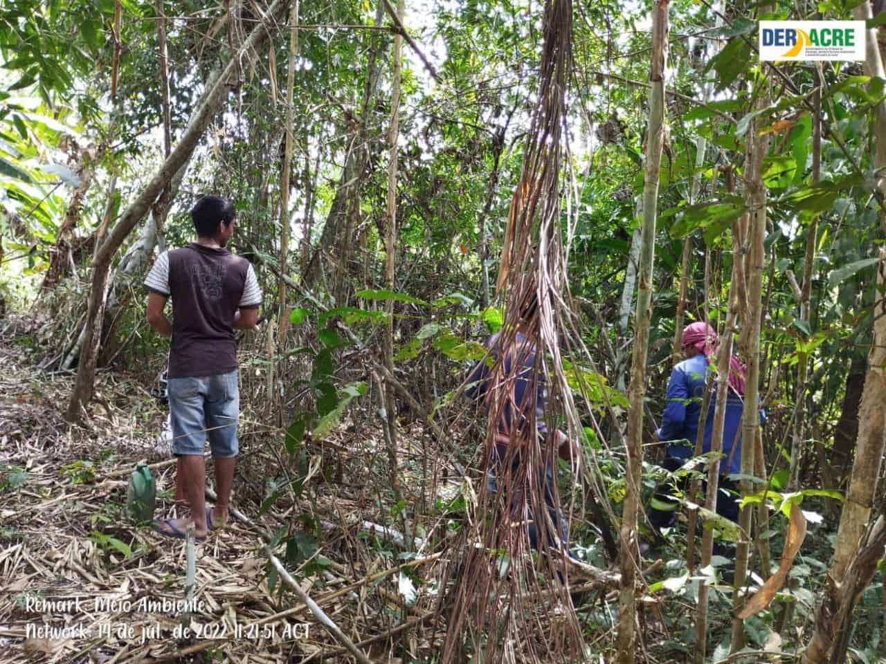 IMG-20220714-WA0035 Foto: reprodução