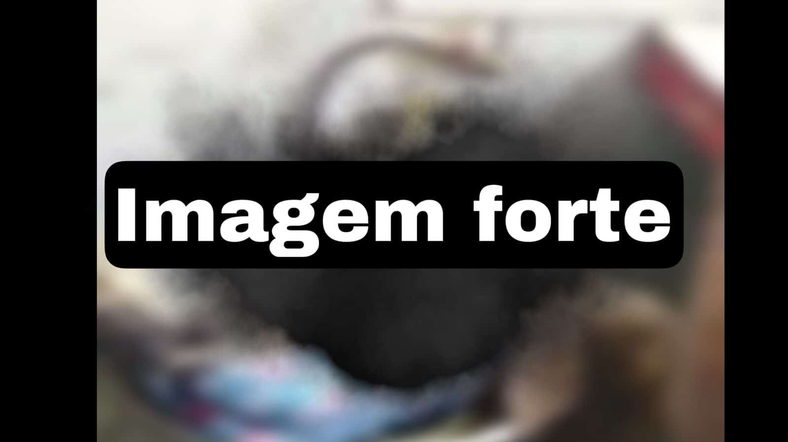 IMG-20220718-WA0385 Foto Reprodução